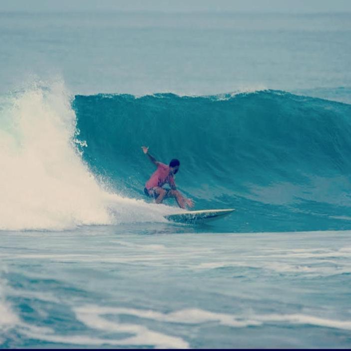 Playa Santa Teresa  Cocobolo Surf Hotel & School المظهر الخارجي الصورة