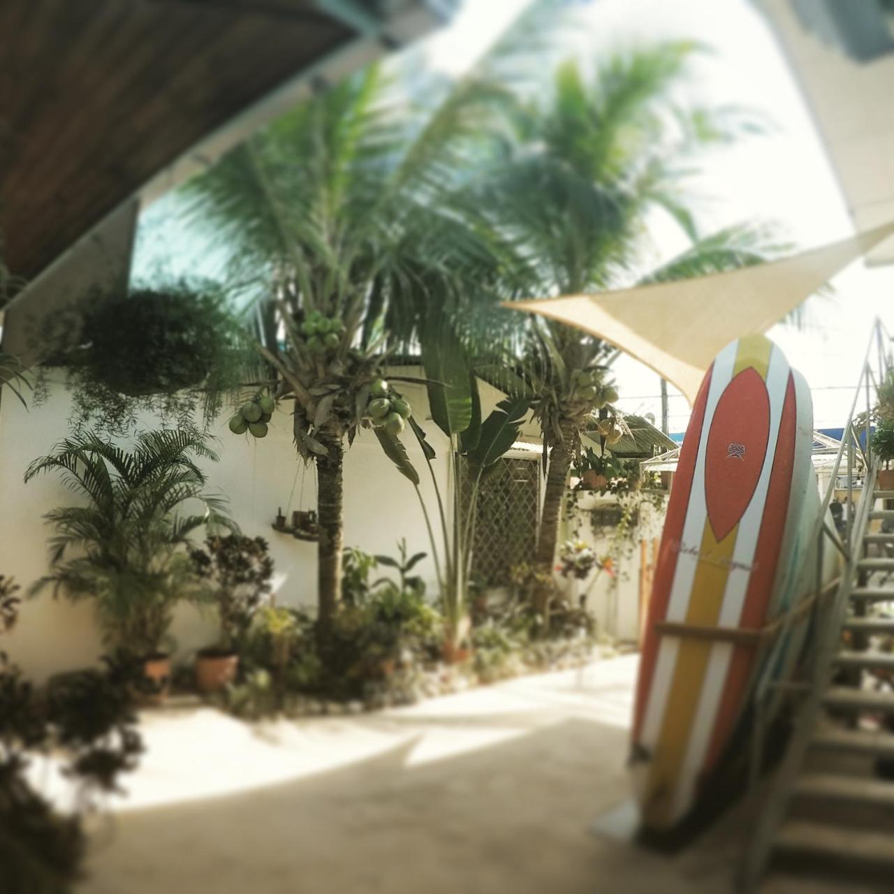 Playa Santa Teresa  Cocobolo Surf Hotel & School المظهر الخارجي الصورة