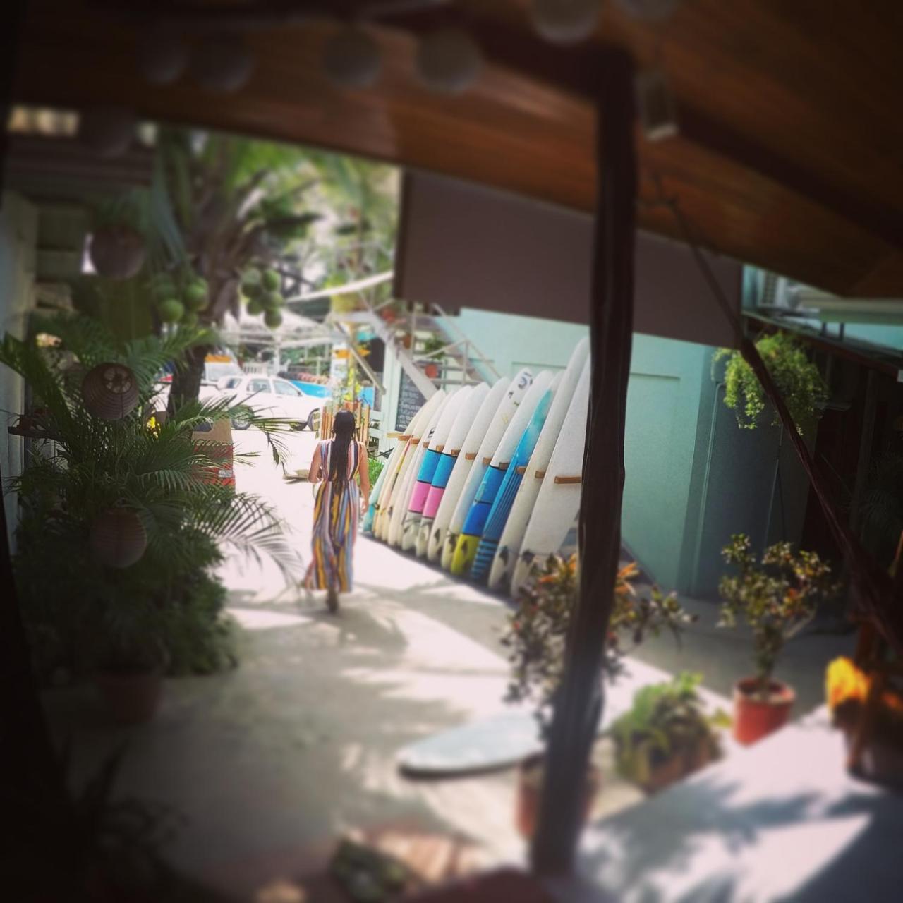 Playa Santa Teresa  Cocobolo Surf Hotel & School المظهر الخارجي الصورة